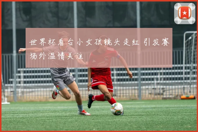 世界杯看台小女孩镜头走红 引发赛场外温情关注