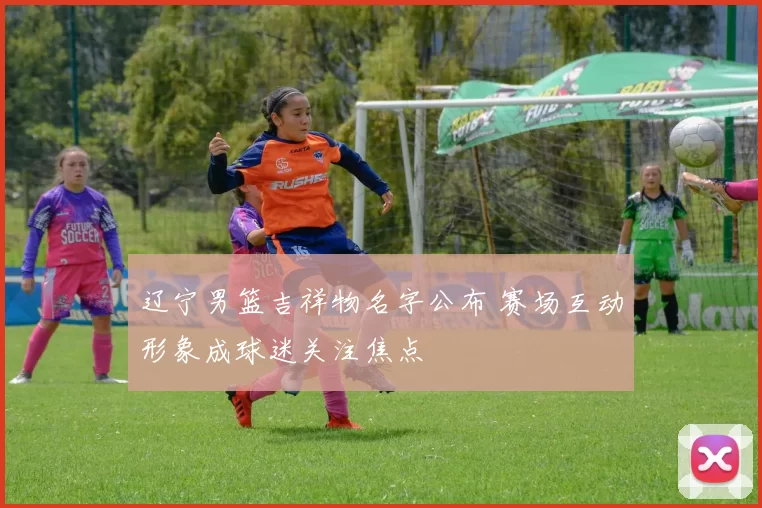 辽宁男篮吉祥物名字公布 赛场互动形象成球迷关注焦点